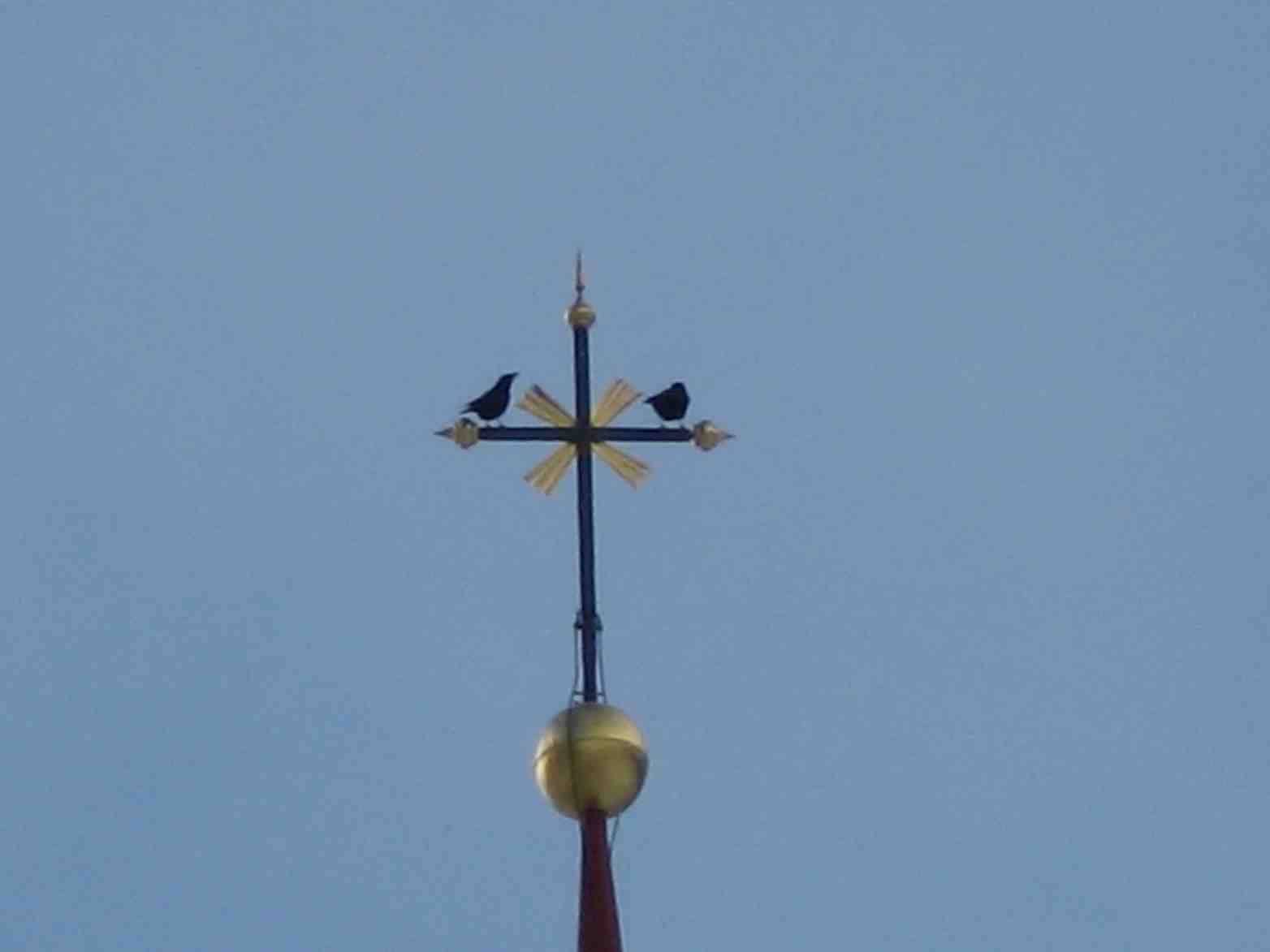 corvidi dell''anterselva